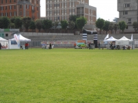 DSCN0116.JPG